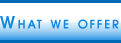 What we offer